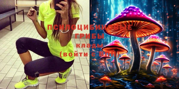 крисы Армянск