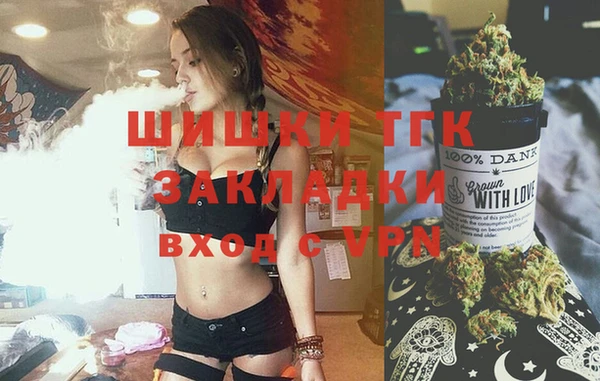крисы Армянск