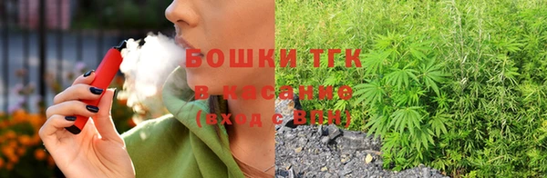 крисы Армянск